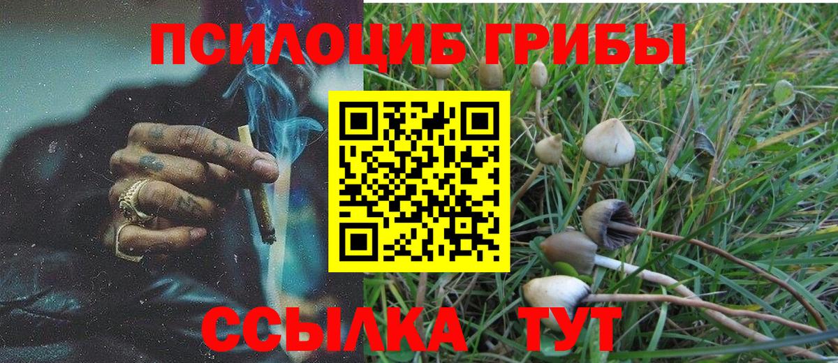 Псилоцибиновые грибы Psilocybe  Галлюциногенные грибы Psilocybe  Мурино  Вход с VPN 